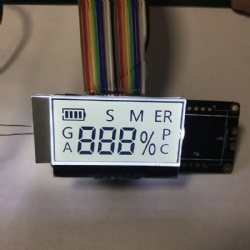 Custom Segment LCD Module with Backlight