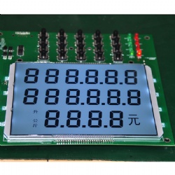 Custom LCD Display Module for Fuel Dispenser
